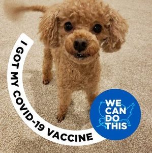 Meet your Posher, Jisook